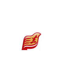 姚素清律师照片